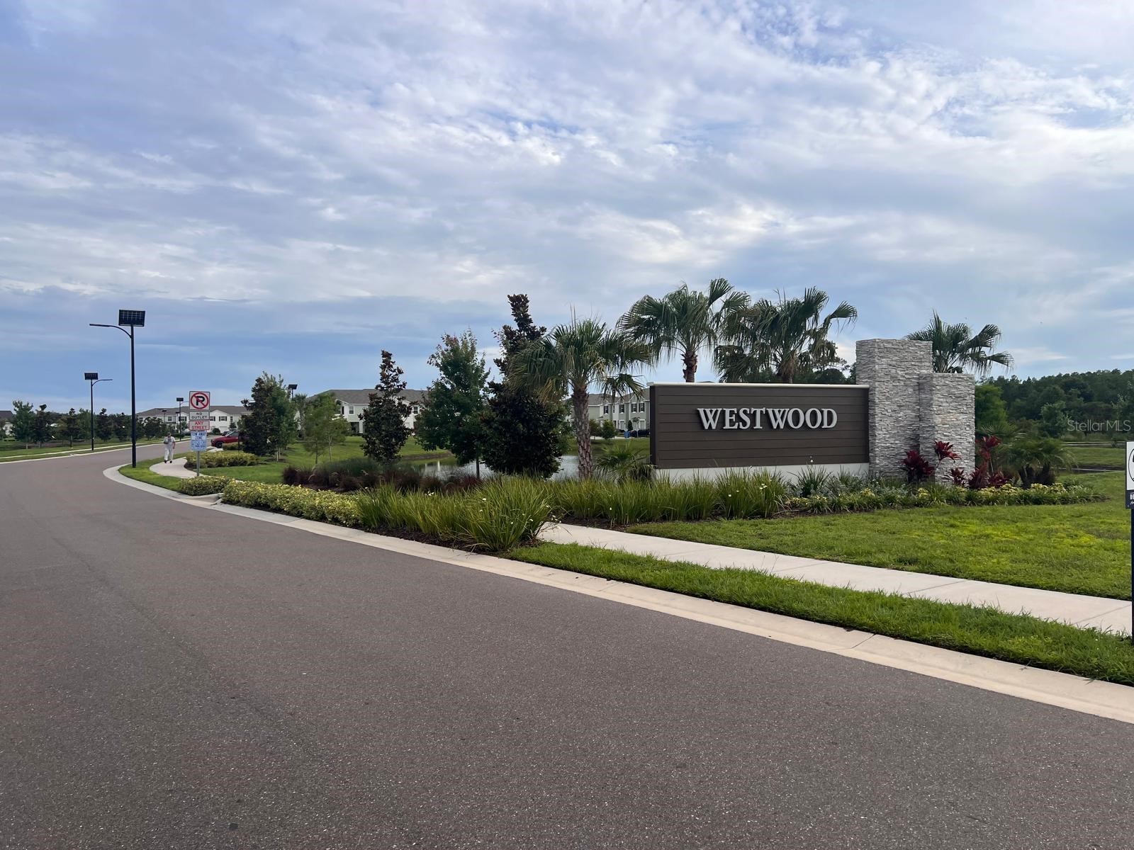 17461 Spanish Oak Loop Land O Lakes FL 34638 TB8521687 image39