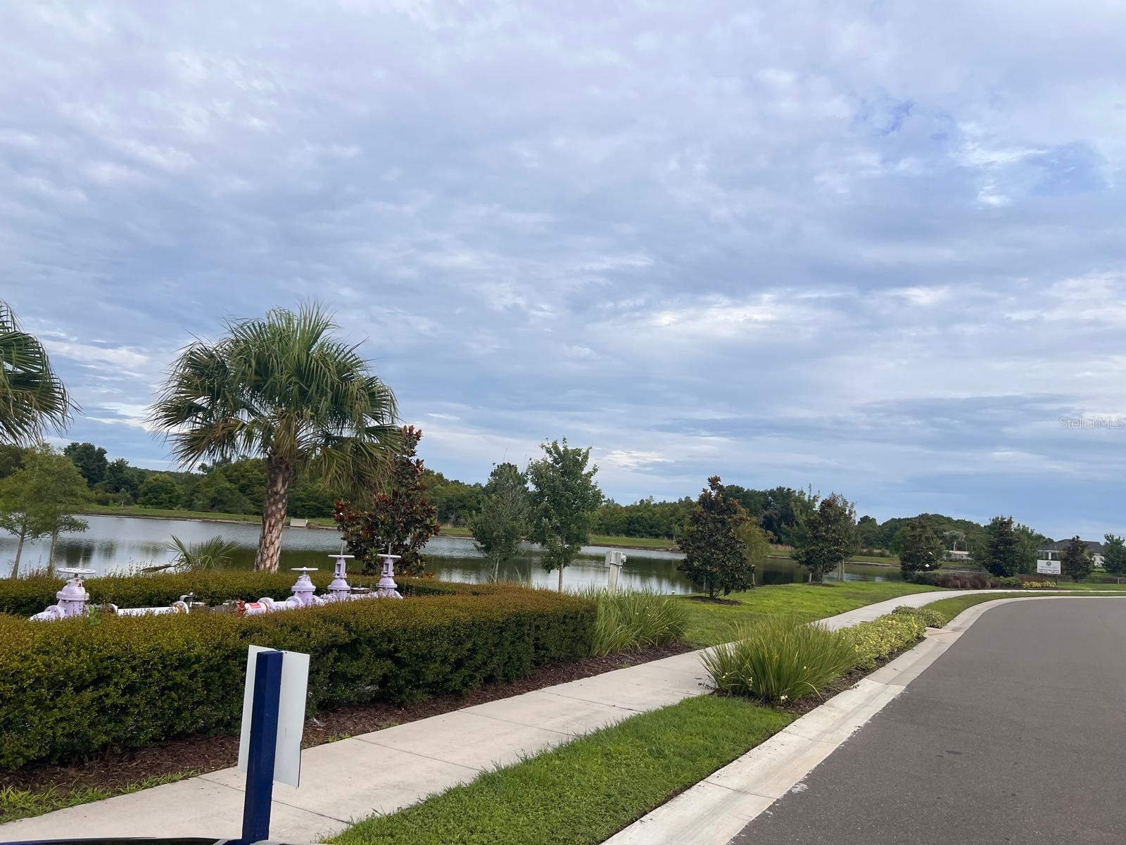 17461 Spanish Oak Loop Land O Lakes FL 34638 TB8521687 image41