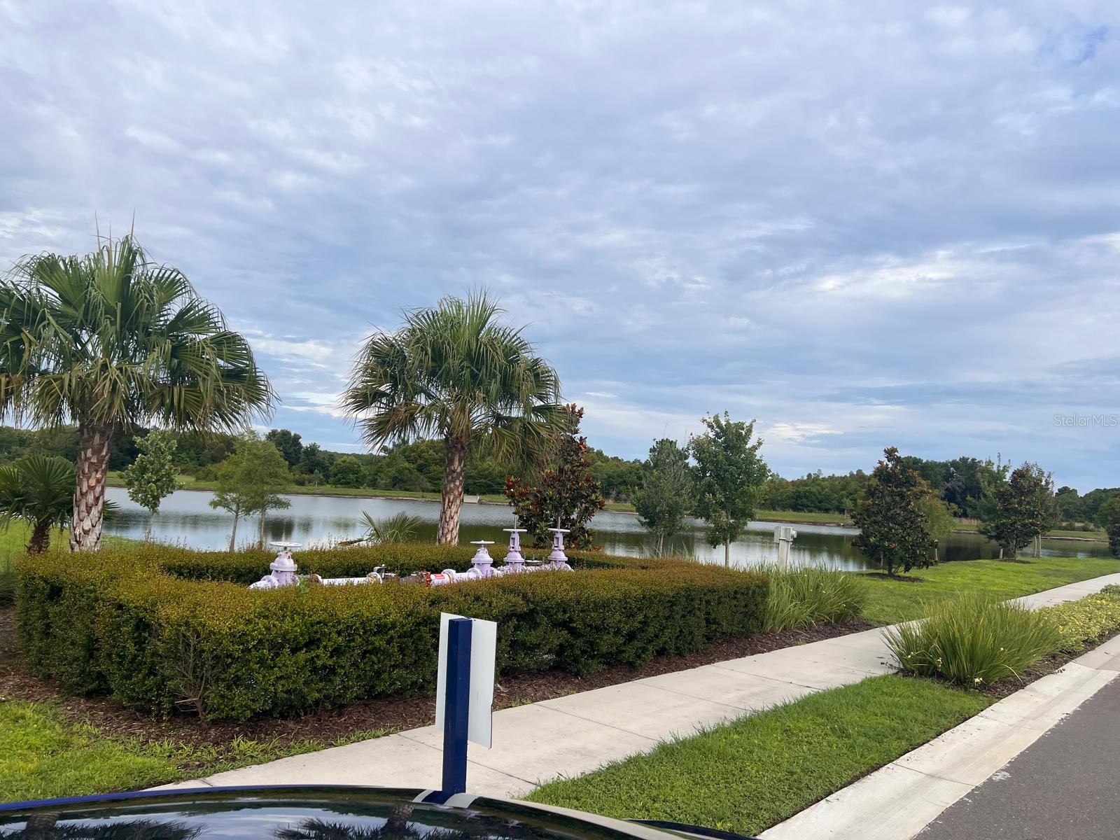 17461 Spanish Oak Loop Land O Lakes FL 34638 TB8521687 image42