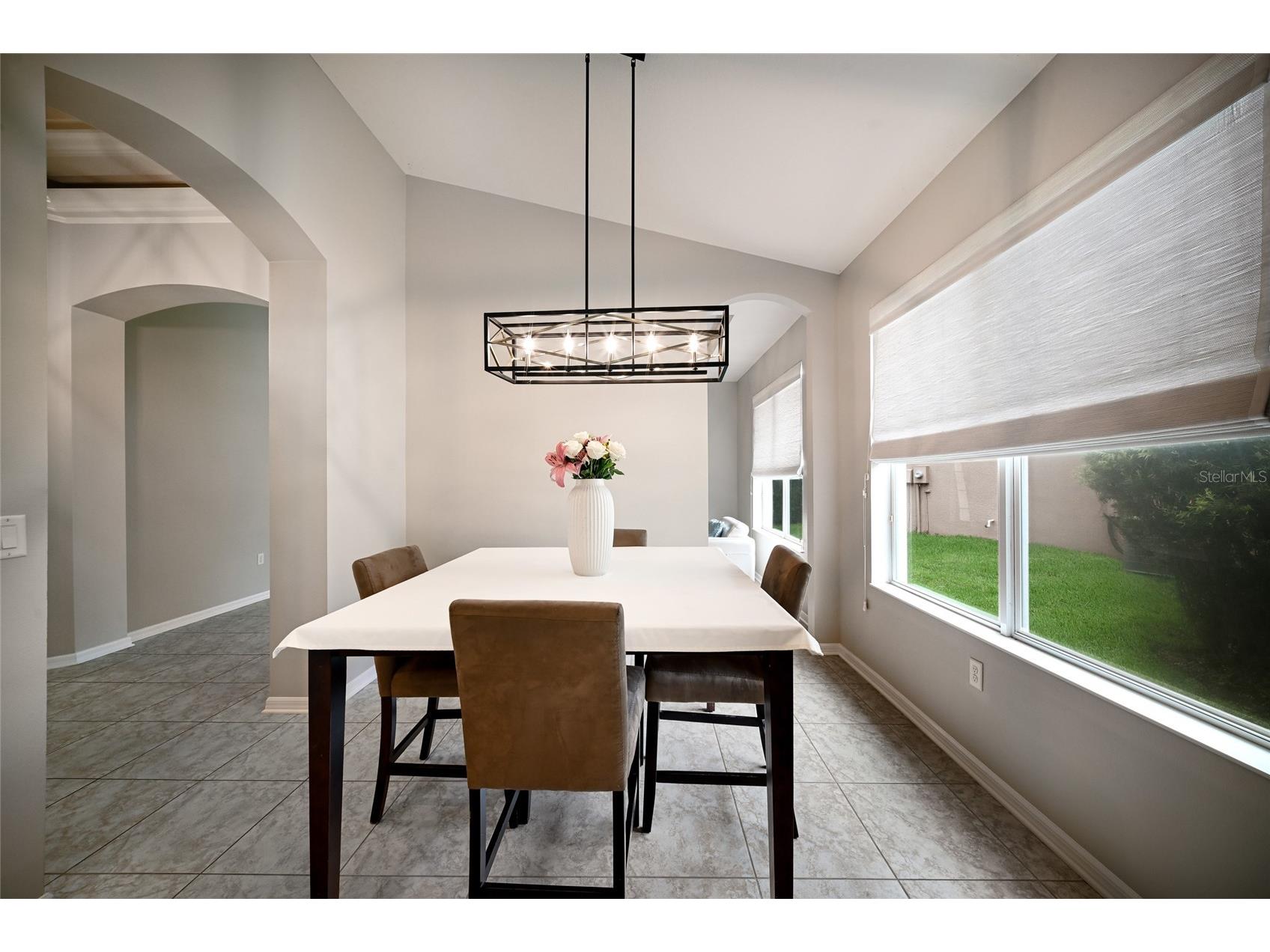 17463 New Cross Circle Lithia FL 33547 A4695815 image11