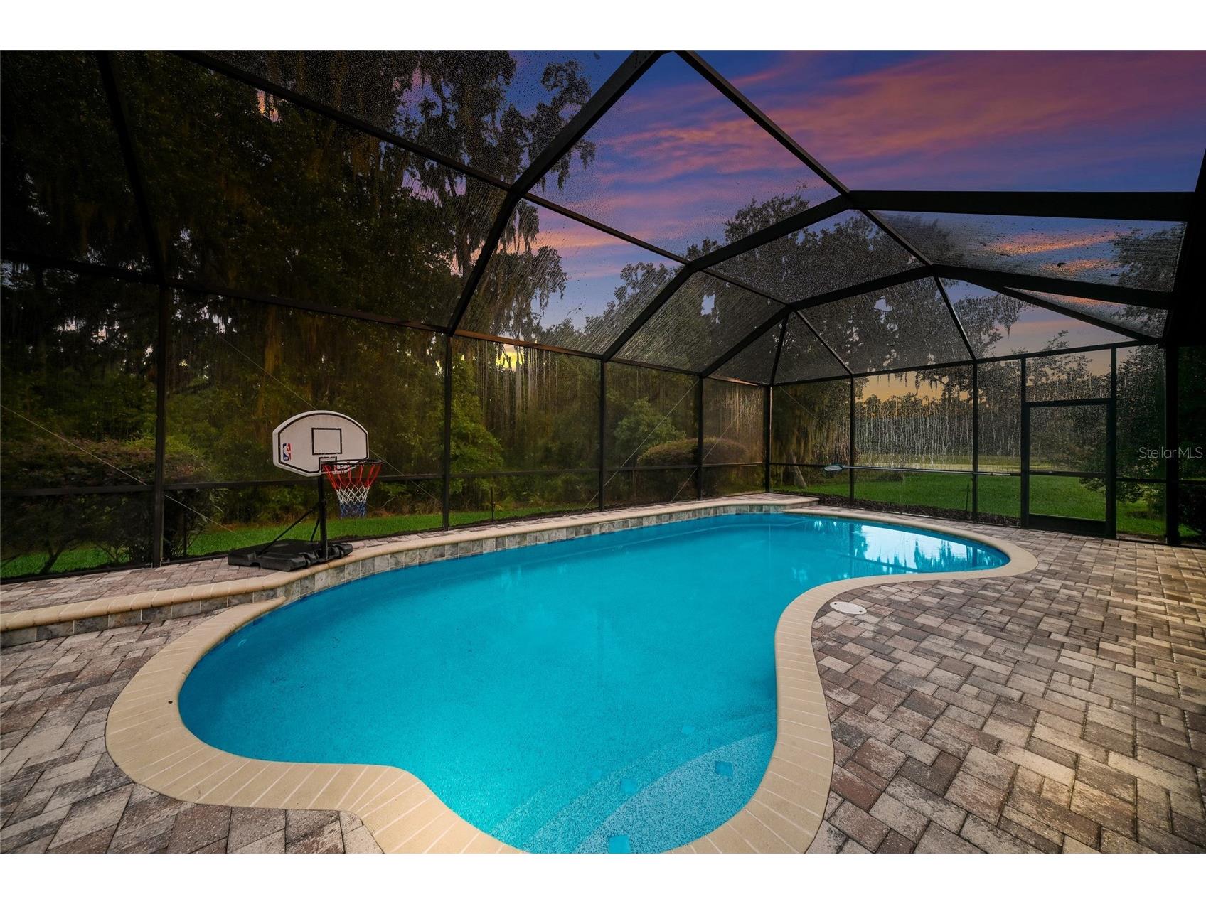 17463 New Cross Circle Lithia FL 33547 A4695815 image2