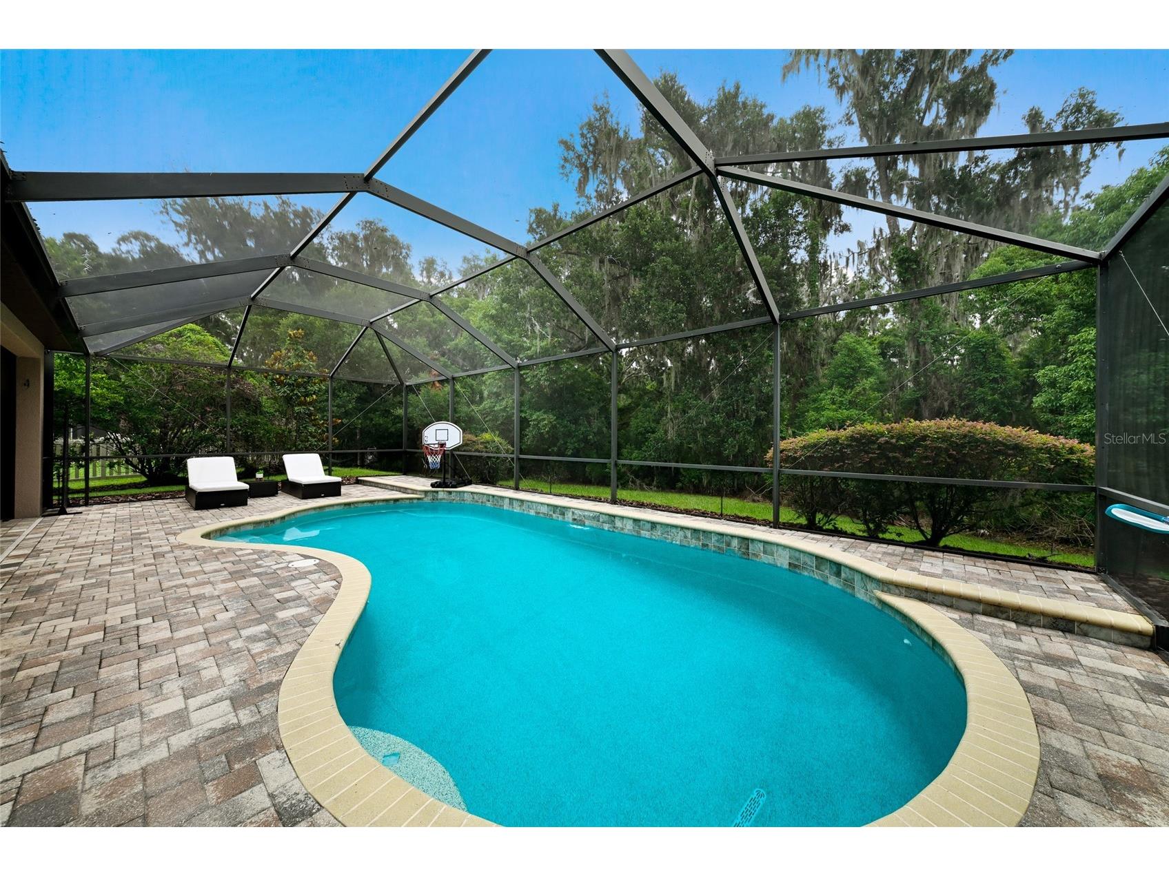 17463 New Cross Circle Lithia FL 33547 A4695815 image21
