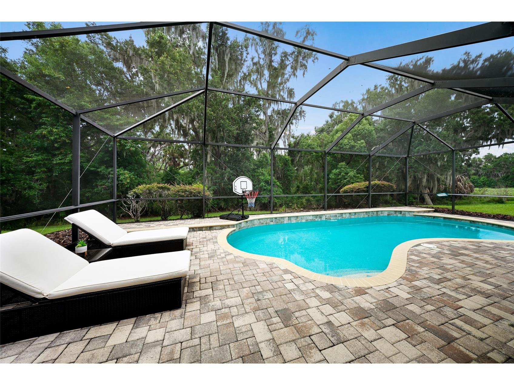17463 New Cross Circle Lithia FL 33547 A4695815 image22