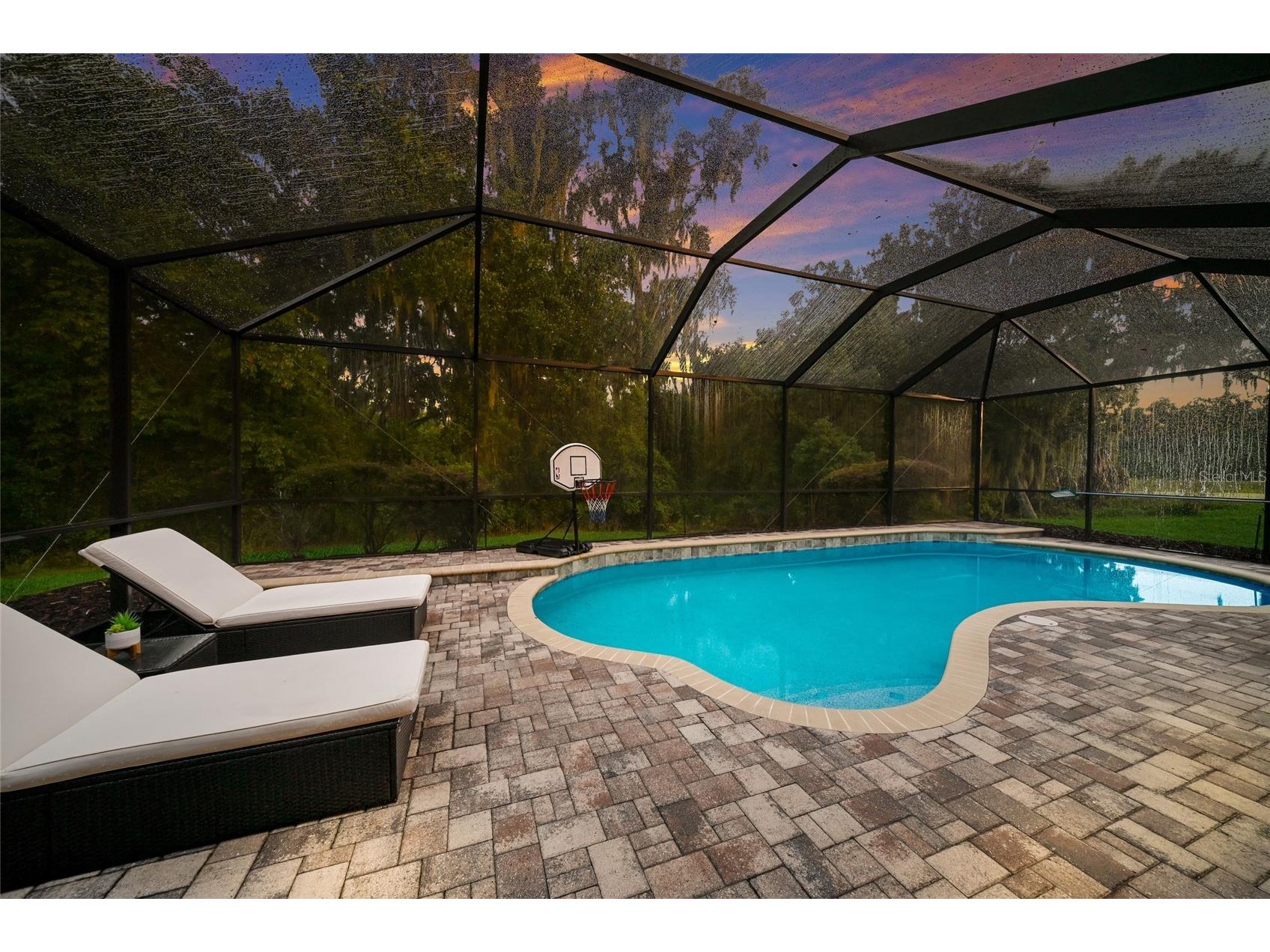 17463 New Cross Circle Lithia FL 33547 A4695815 image40