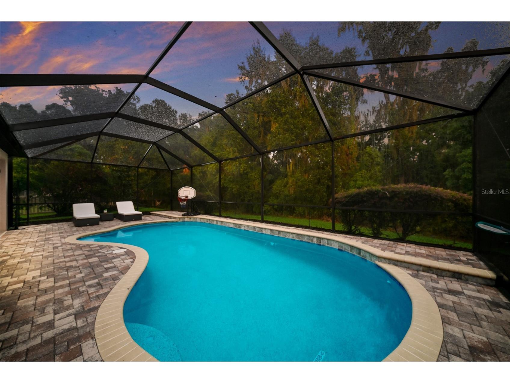 17463 New Cross Circle Lithia FL 33547 A4695815 image41