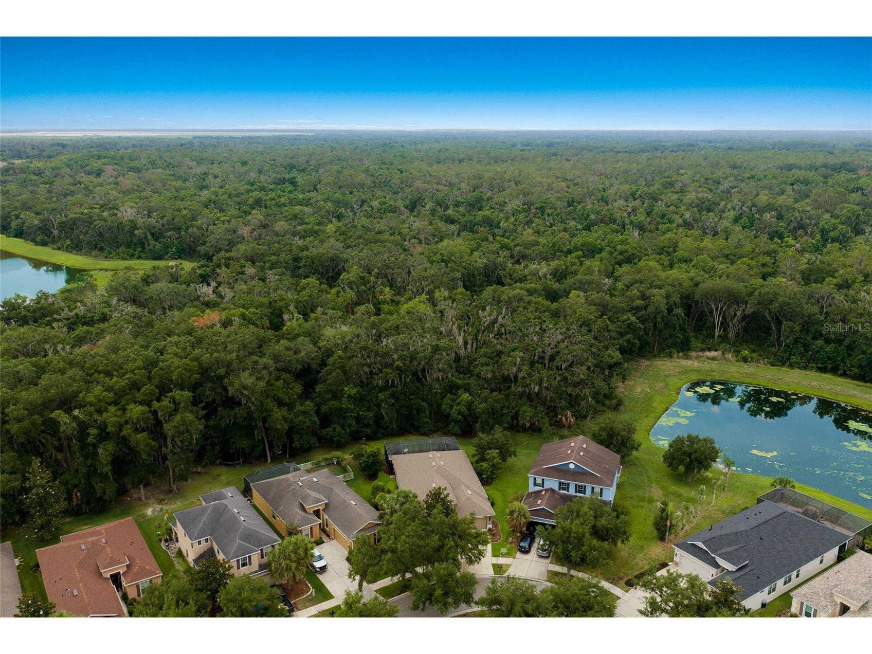 17463 New Cross Circle Lithia FL 33547 A4695815 image47