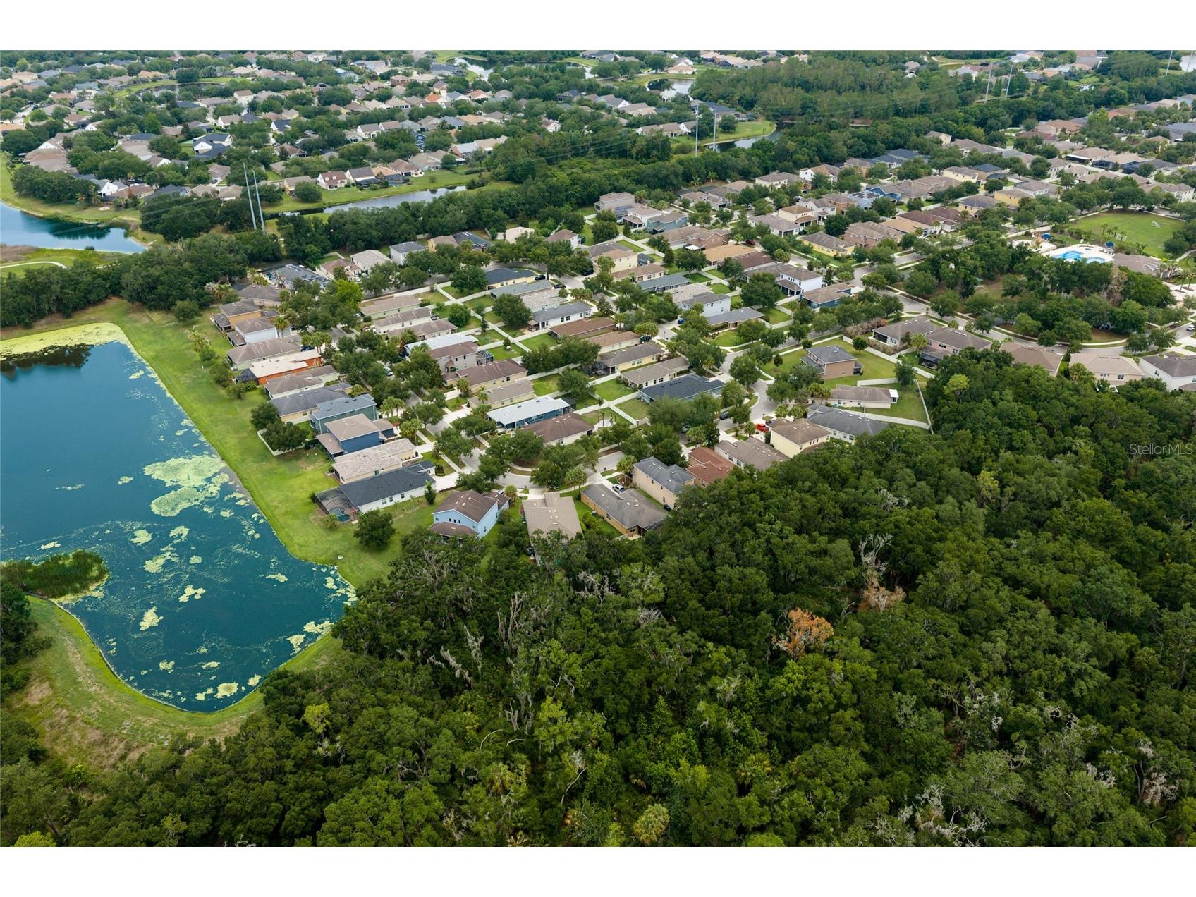 17463 New Cross Circle Lithia FL 33547 A4695815 image48