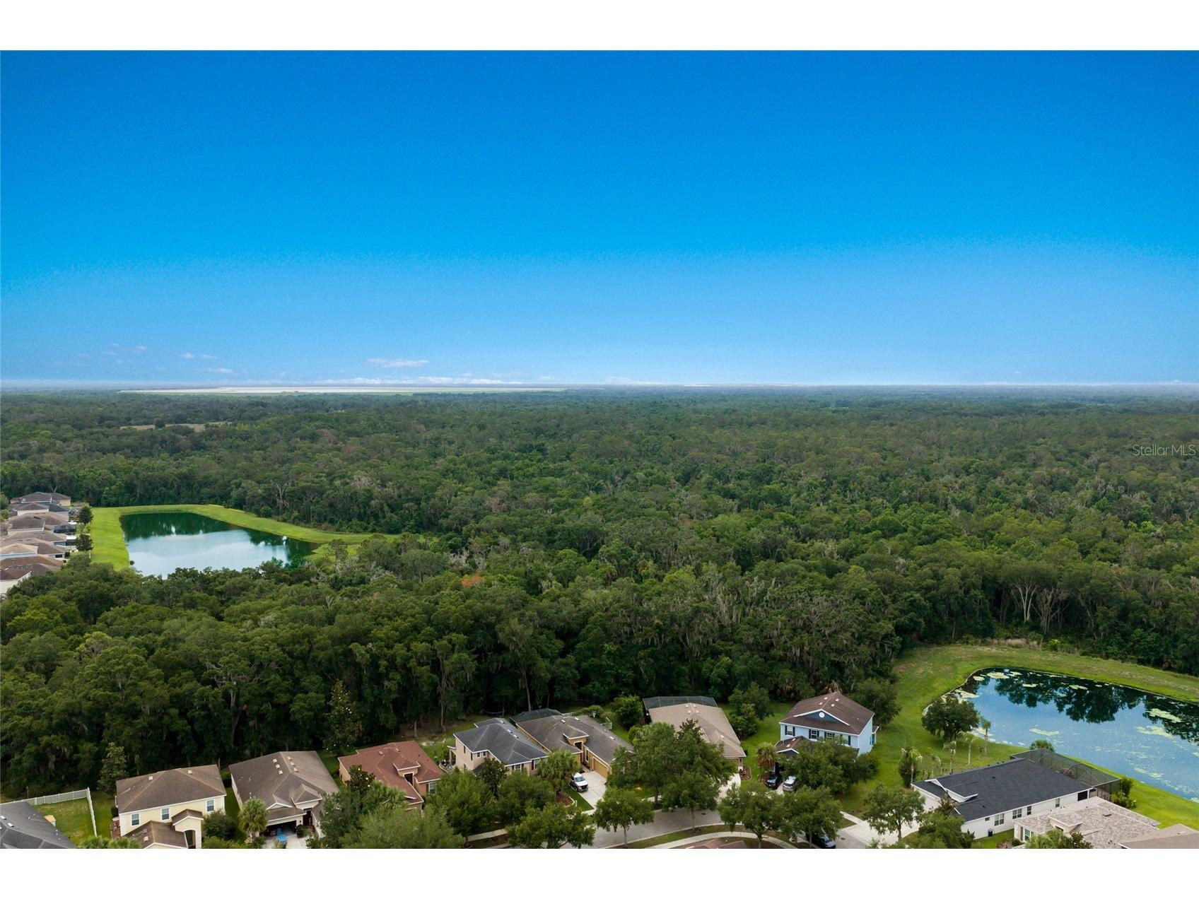 17463 New Cross Circle Lithia FL 33547 A4695815 image49