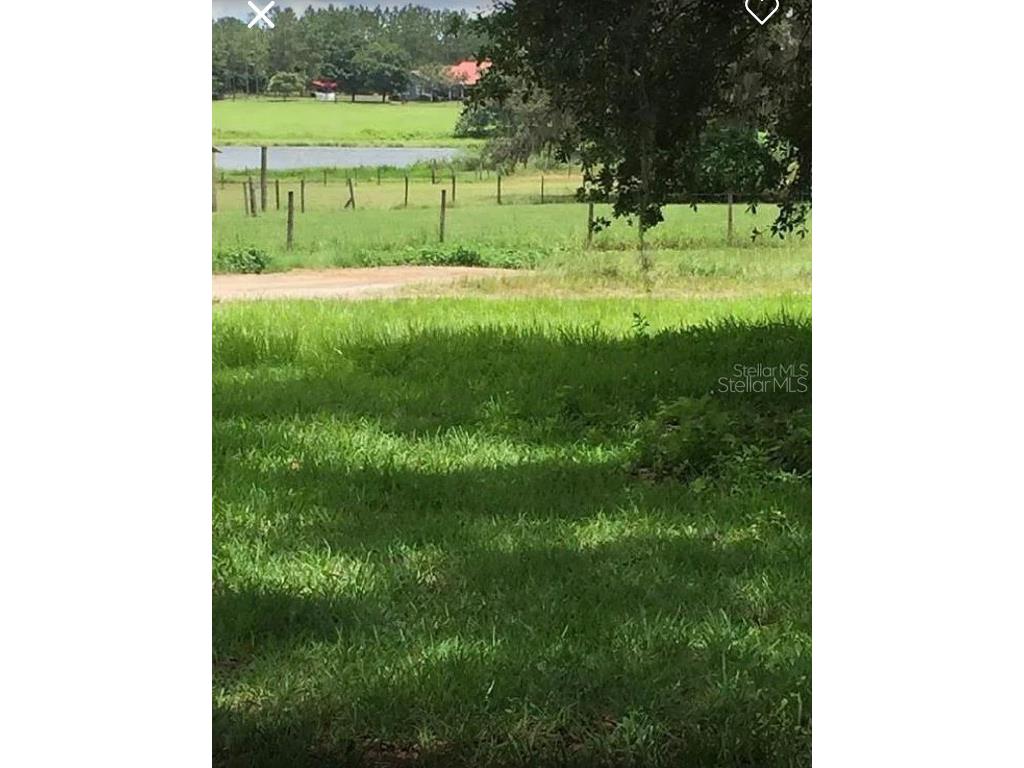 17465 Spring Valley Road Dade City FL 33523 T3410673 image1