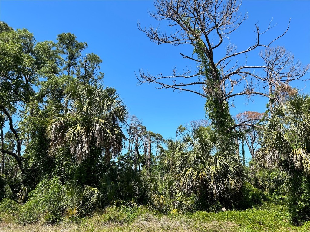 17466 Wellsley Avenue Port Charlotte FL 33954 C7490564 image1