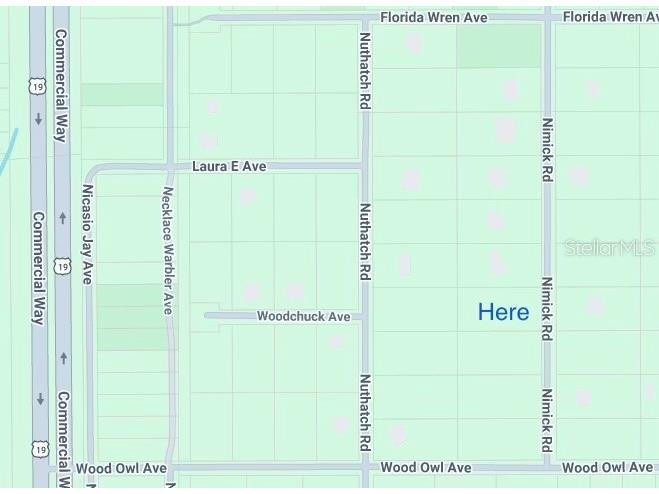 17467 Nimick Road Weeki Wachee FL 34614 TB8473106 image1