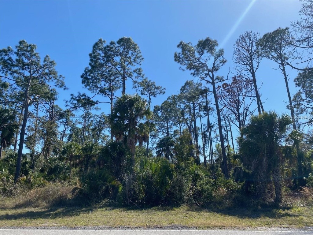 17467 and 17475 Hillsborough Boulevard Port Charlotte FL 33954 N6136625 image12