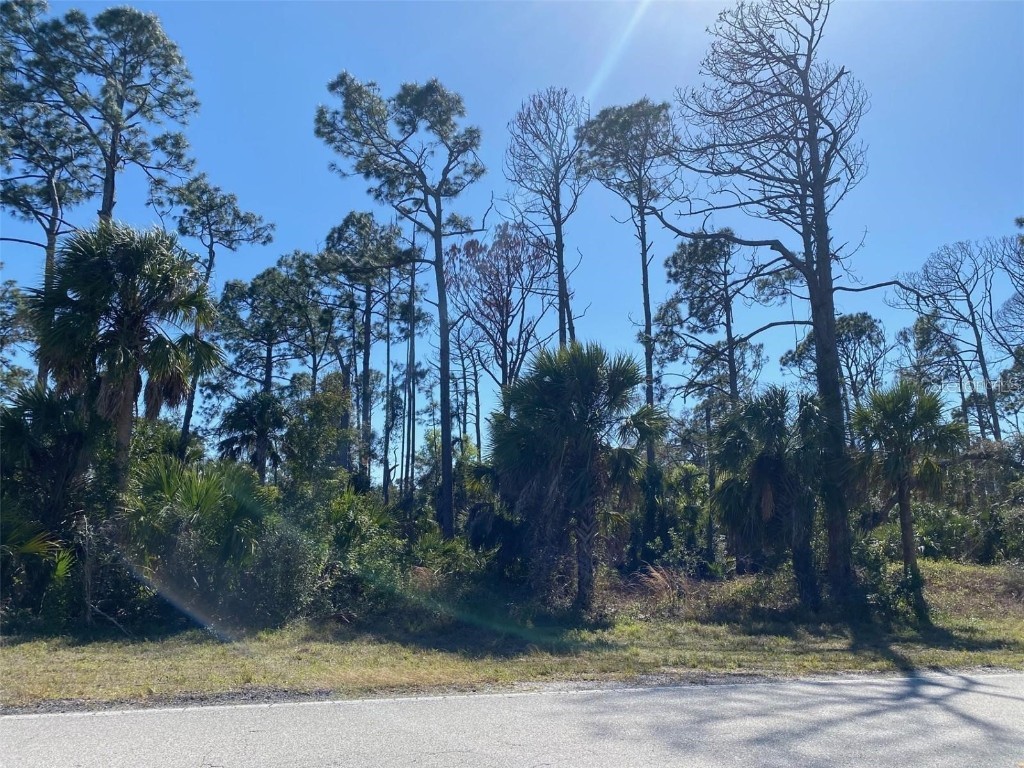 17467 and 17475 Hillsborough Boulevard Port Charlotte FL 33954 N6136625 image3