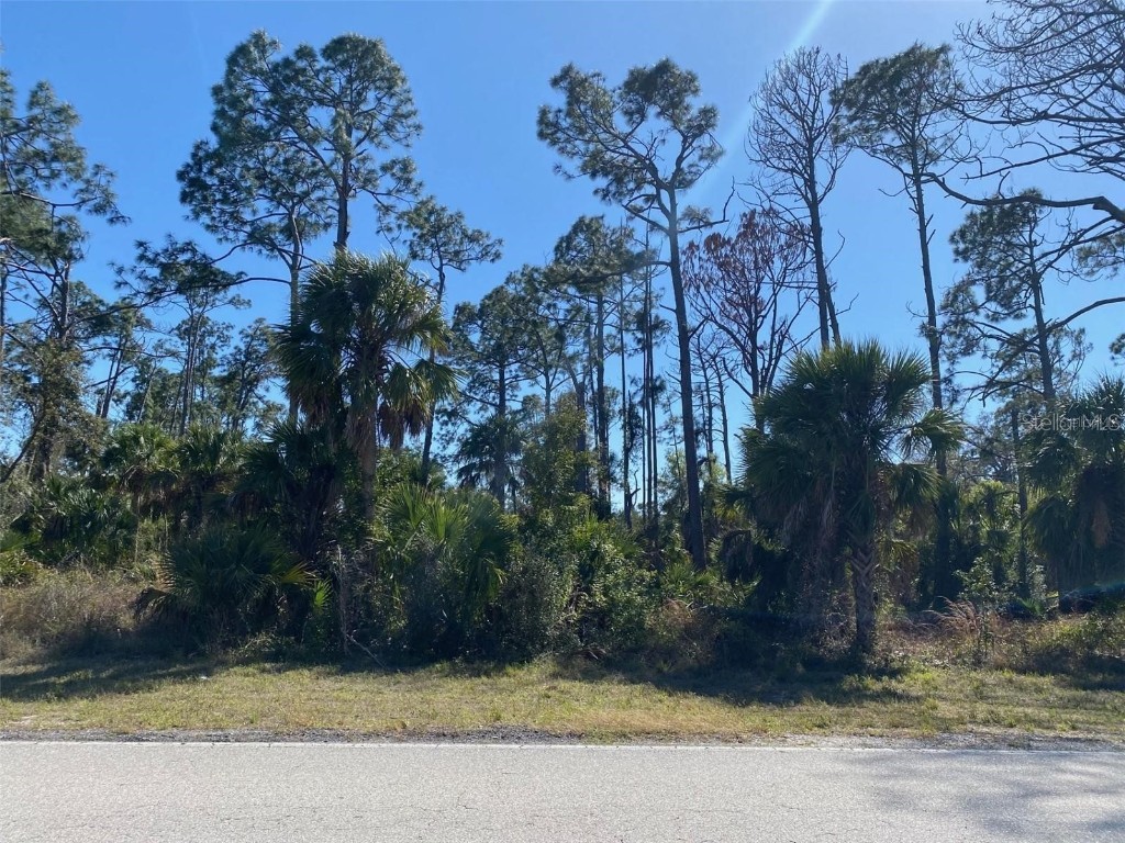 17467 and 17475 Hillsborough Boulevard Port Charlotte FL 33954 N6136625 image4