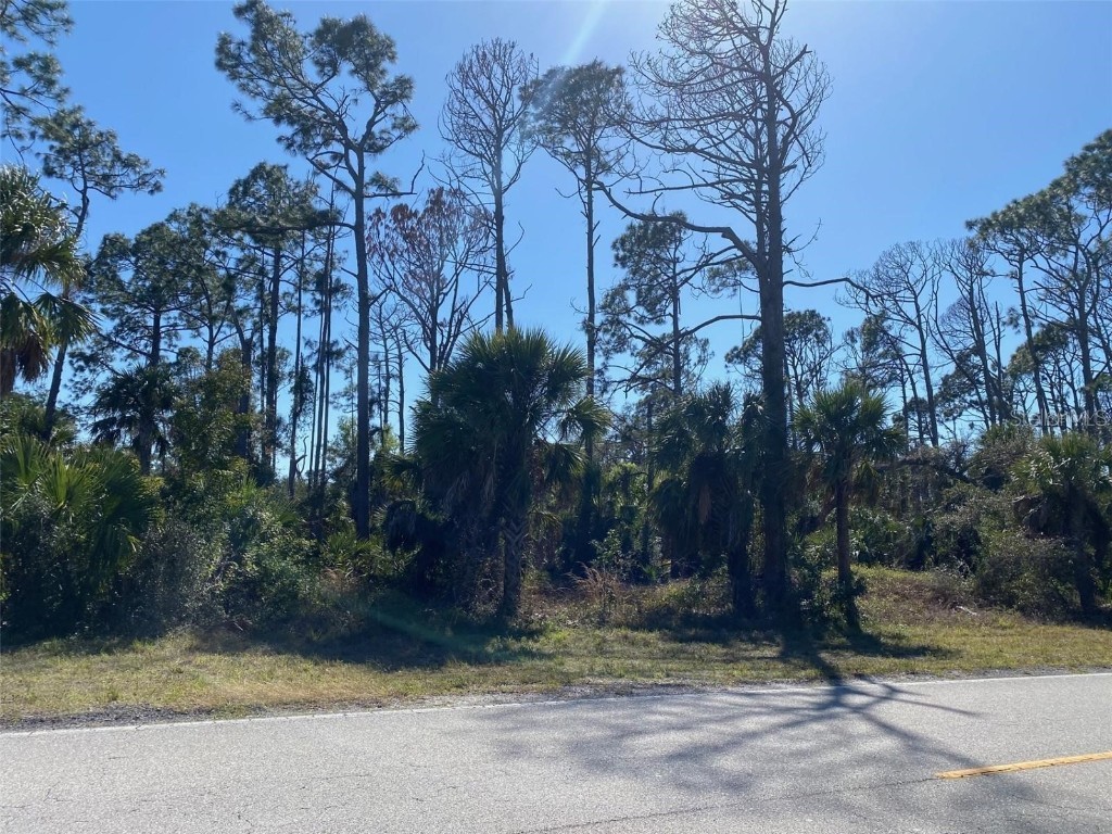 17467 and 17475 Hillsborough Boulevard Port Charlotte FL 33954 N6136625 image6