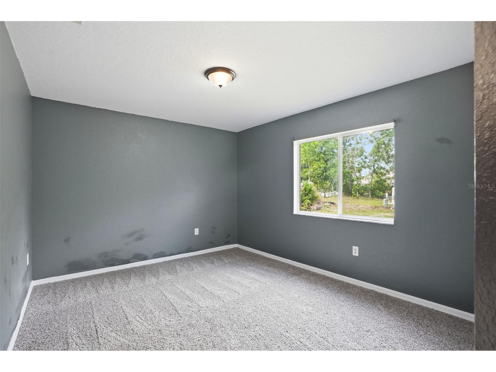 17469 Maberly Road Weeki Wachee FL 34614 TB8505091 image50