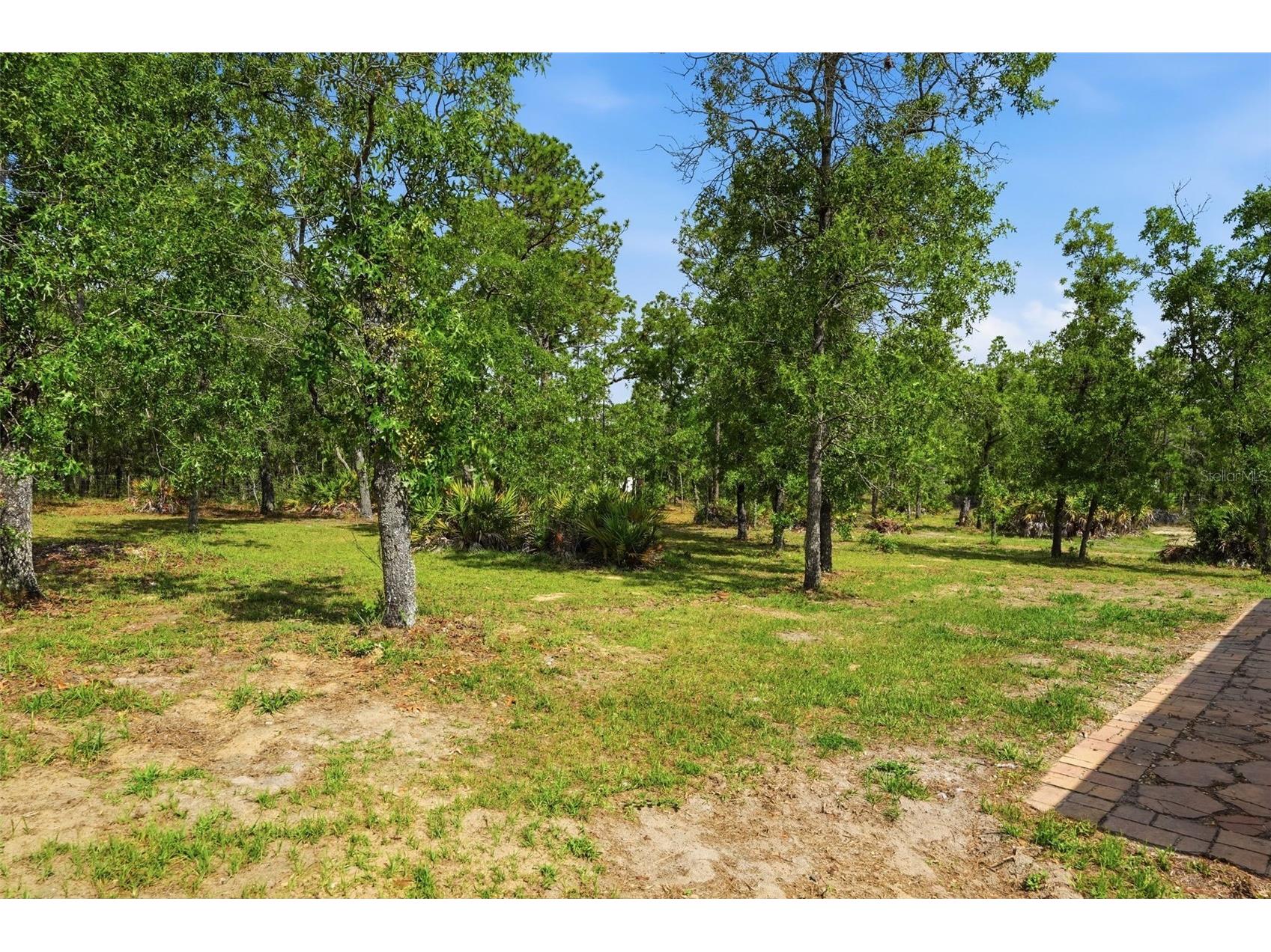 17469 Maberly Road Weeki Wachee FL 34614 TB8505091 image58