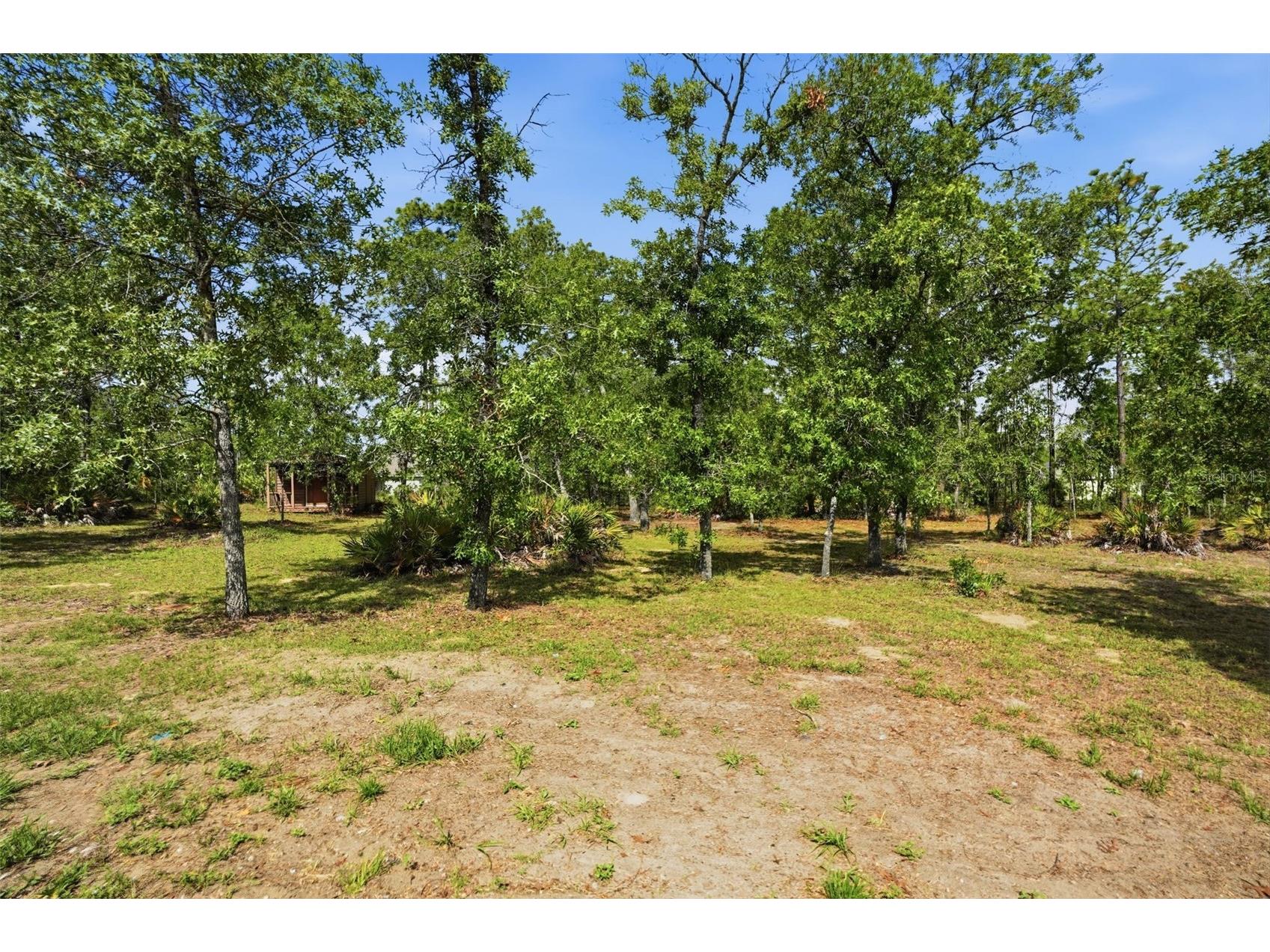 17469 Maberly Road Weeki Wachee FL 34614 TB8505091 image59