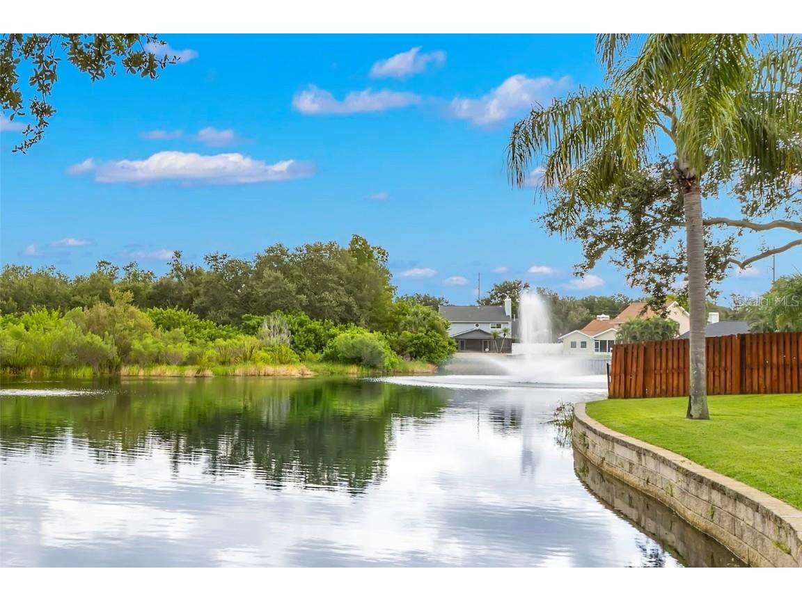 1747 87th Terrace N Saint Petersburg FL 33702 TB8421524 image21