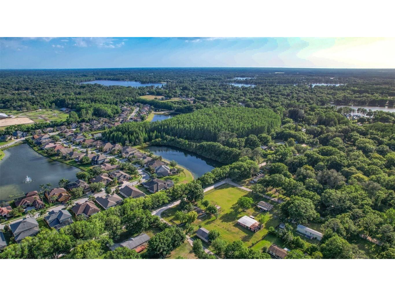 1747 Anna Road Odessa FL 33556 T3523194 image17