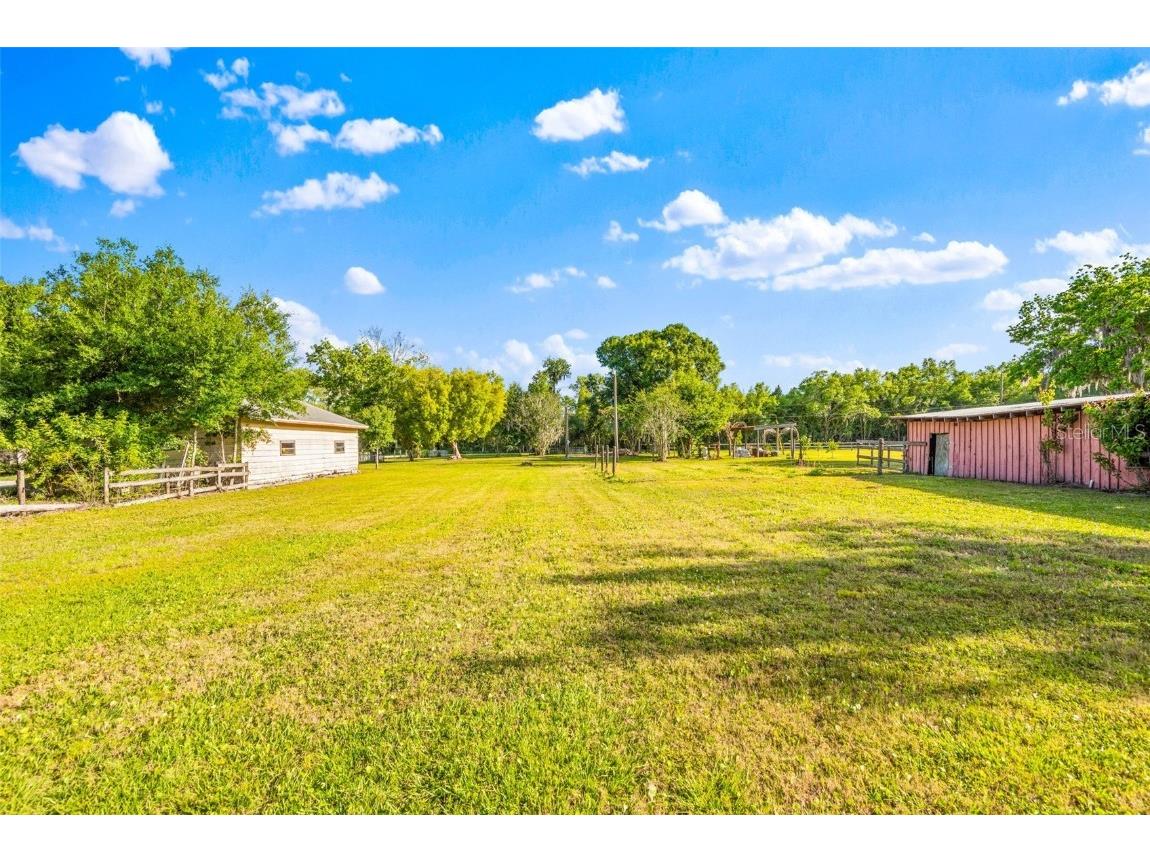 1747 Anna Road Odessa FL 33556 T3523194 image3