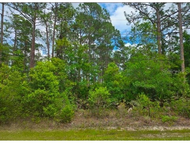 1747 Candleberry Street Bunnell FL 32110 O6402584 image1
