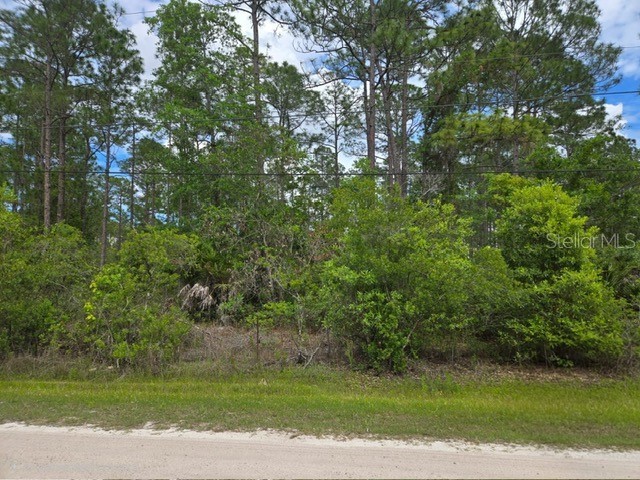 1747 Candleberry Street Bunnell FL 32110 O6402584 image2