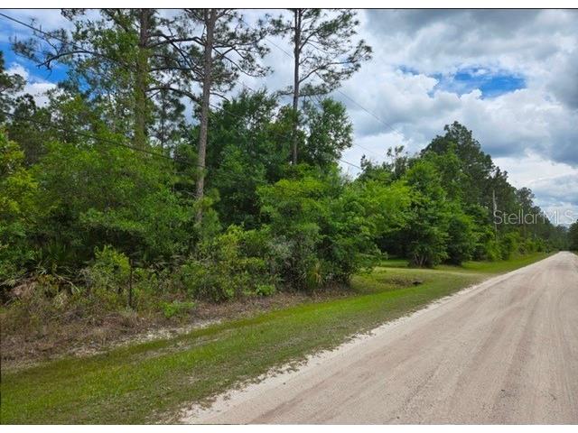 1747 Candleberry Street Bunnell FL 32110 O6402584 image3