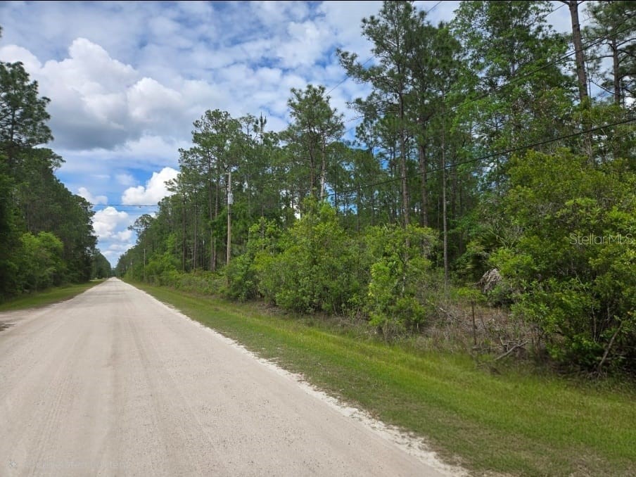 1747 Candleberry Street Bunnell FL 32110 O6402584 image4