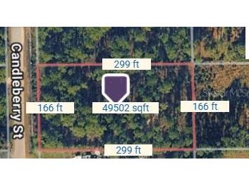 1747 Candleberry Street Bunnell FL 32110 O6402584 image6