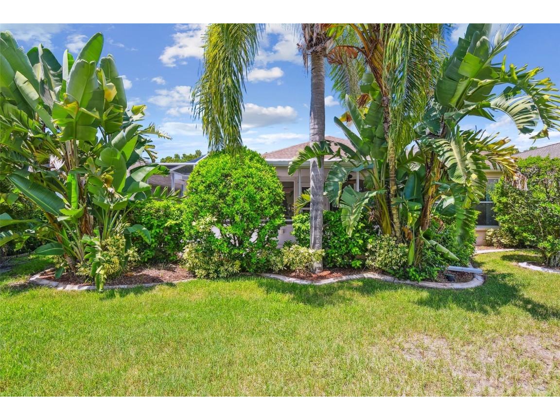 1747 Orchardgrove Avenue New Port Richey FL 34655 TB8416286 image60