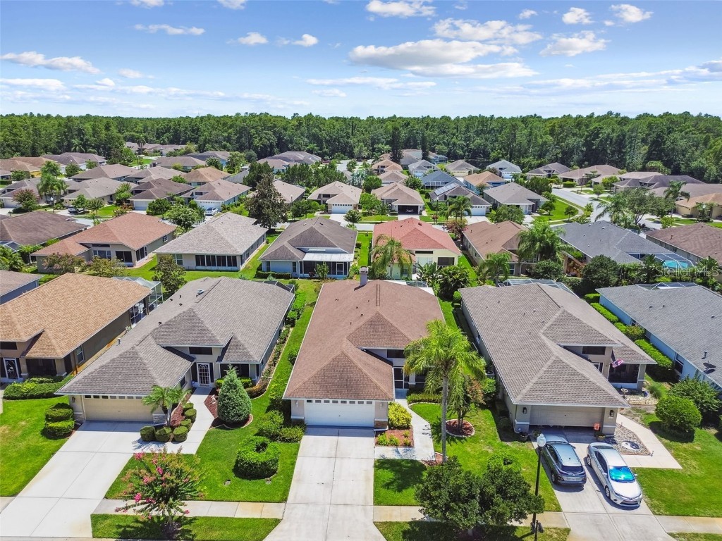 1747 Orchardgrove Avenue New Port Richey FL 34655 TB8416286 image64