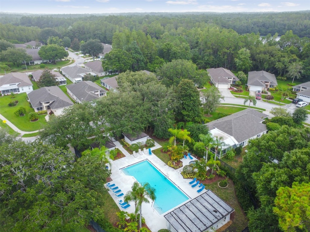 1747 Orchardgrove Avenue New Port Richey FL 34655 TB8416286 image68