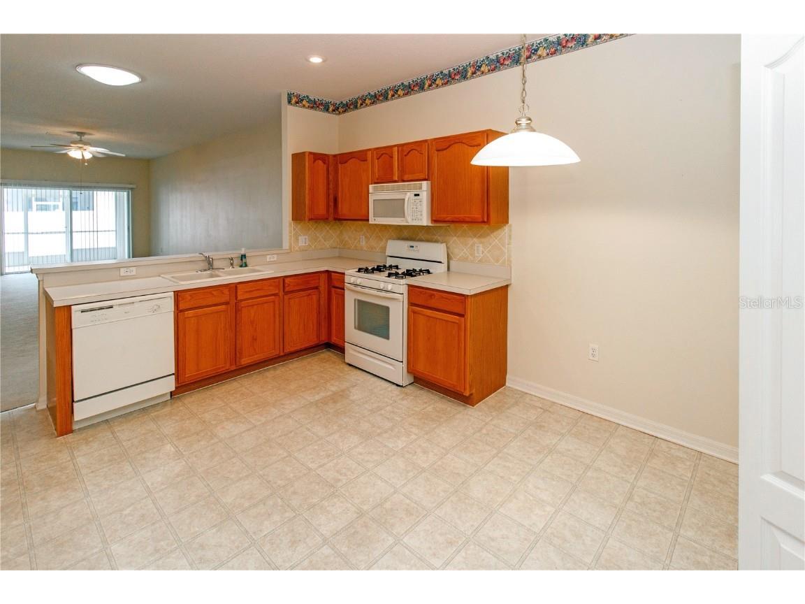 1747 Ravenridge Street Wesley Chapel FL 33543 TB8445274 image17