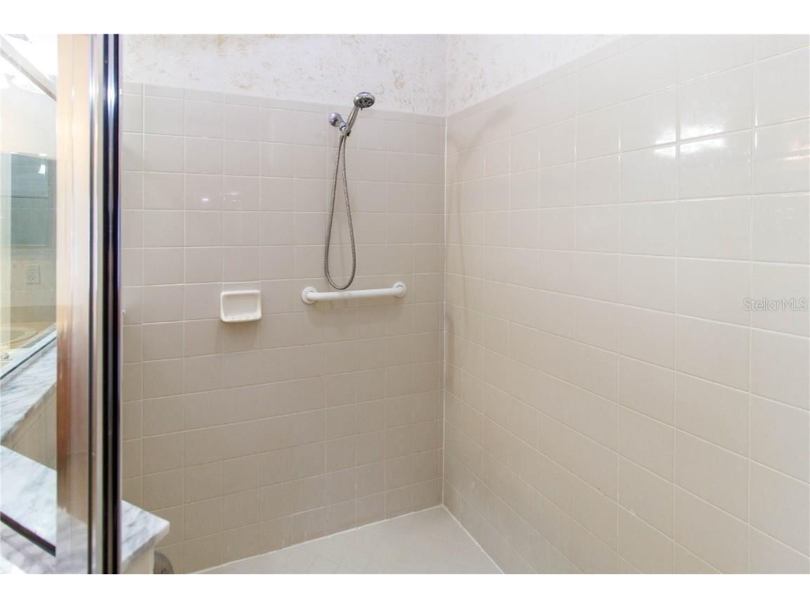 1747 Ravenridge Street Wesley Chapel FL 33543 TB8445274 image26