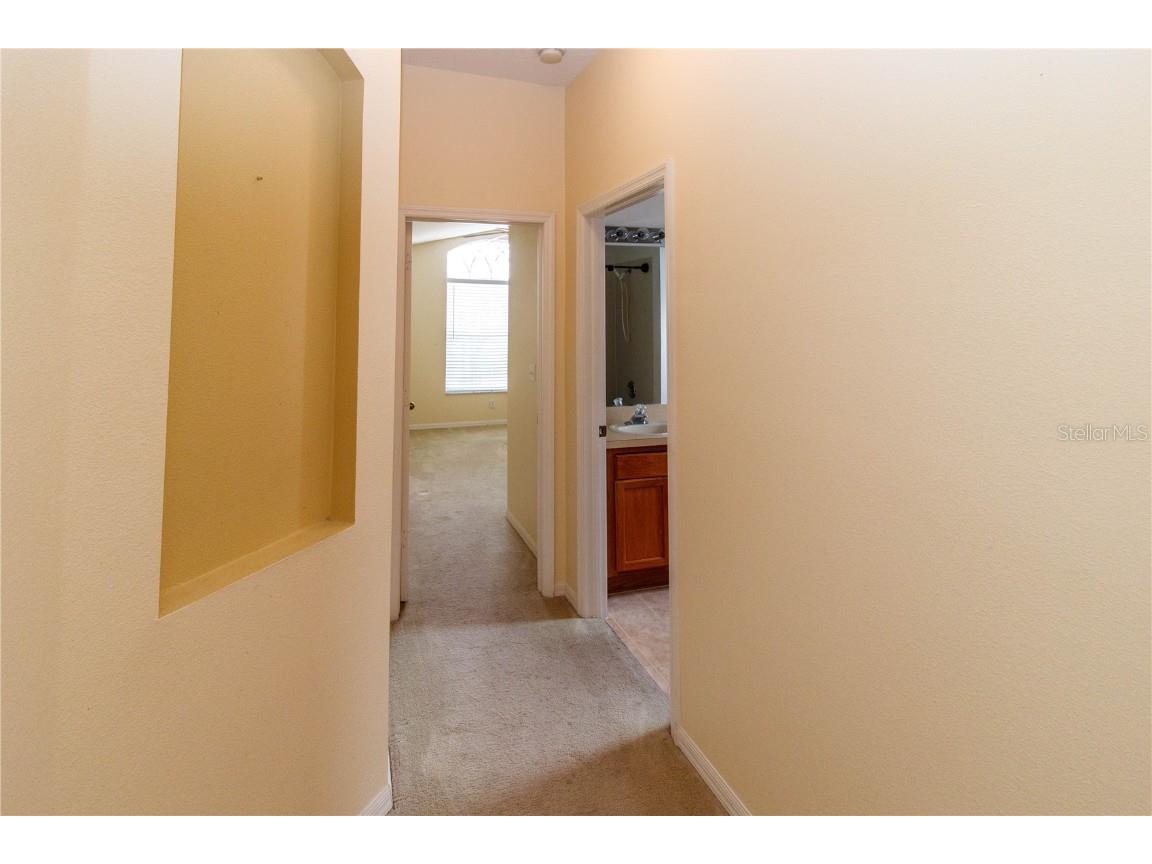 1747 Ravenridge Street Wesley Chapel FL 33543 TB8445274 image9