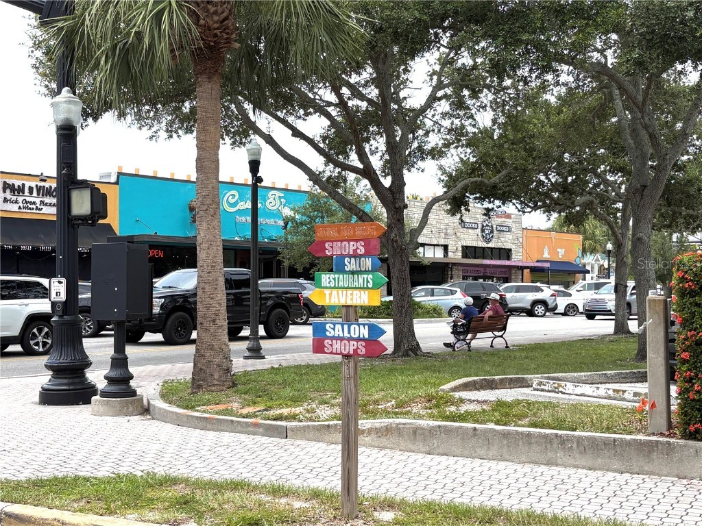 1747 Santa Anna Drive Dunedin FL 34698 TB8413438 image34