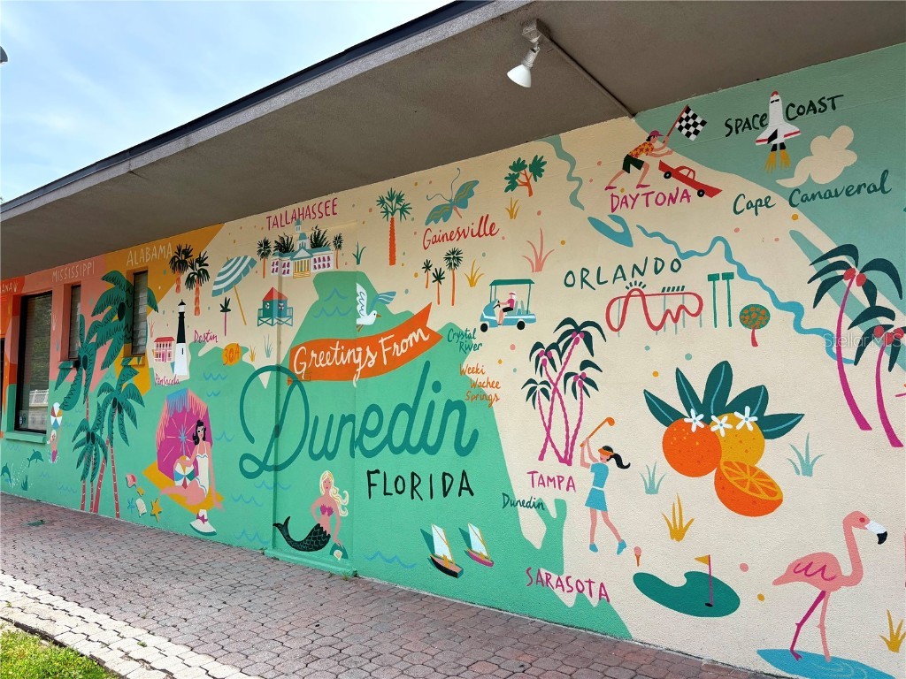 1747 Santa Anna Drive Dunedin FL 34698 TB8413438 image37