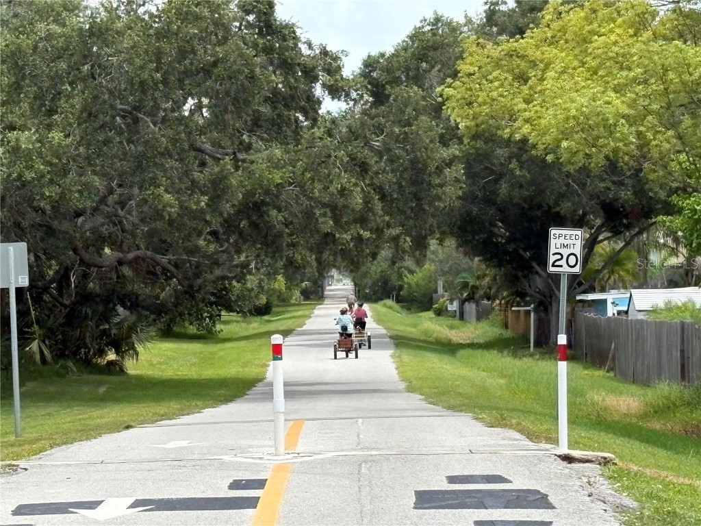 1747 Santa Anna Drive Dunedin FL 34698 TB8413438 image38