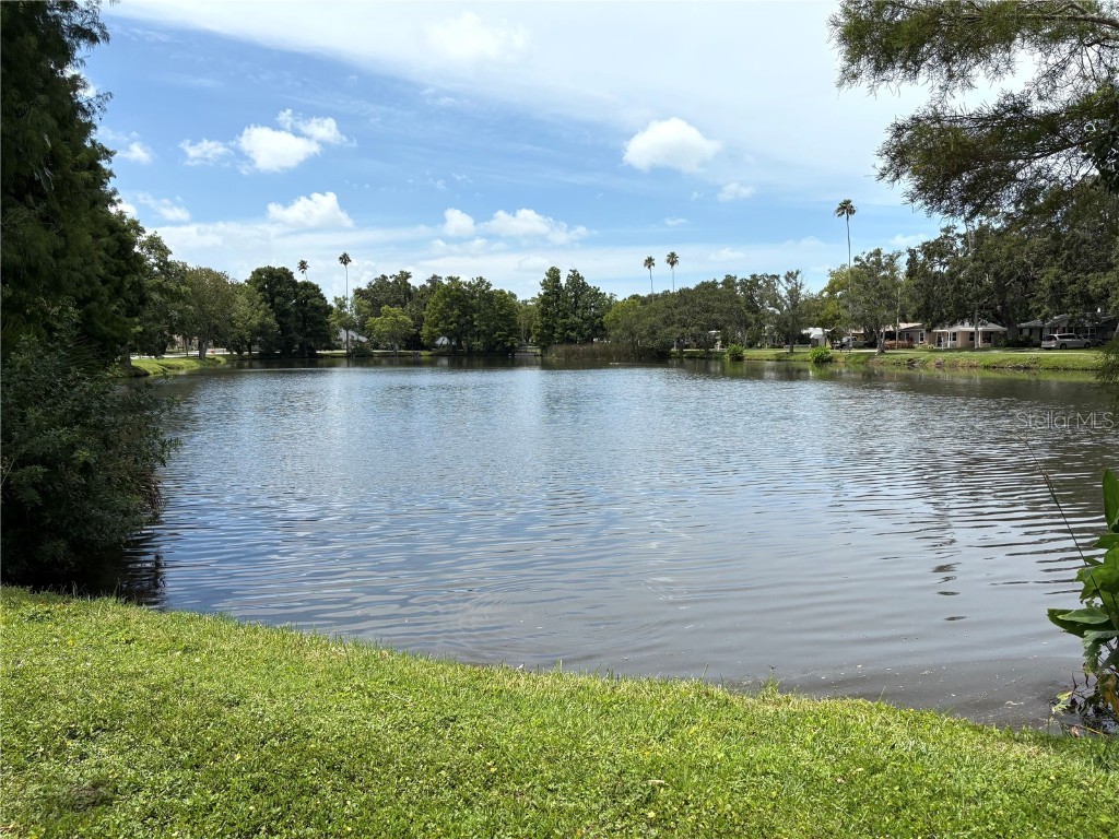 1747 Santa Anna Drive Dunedin FL 34698 TB8413438 image40