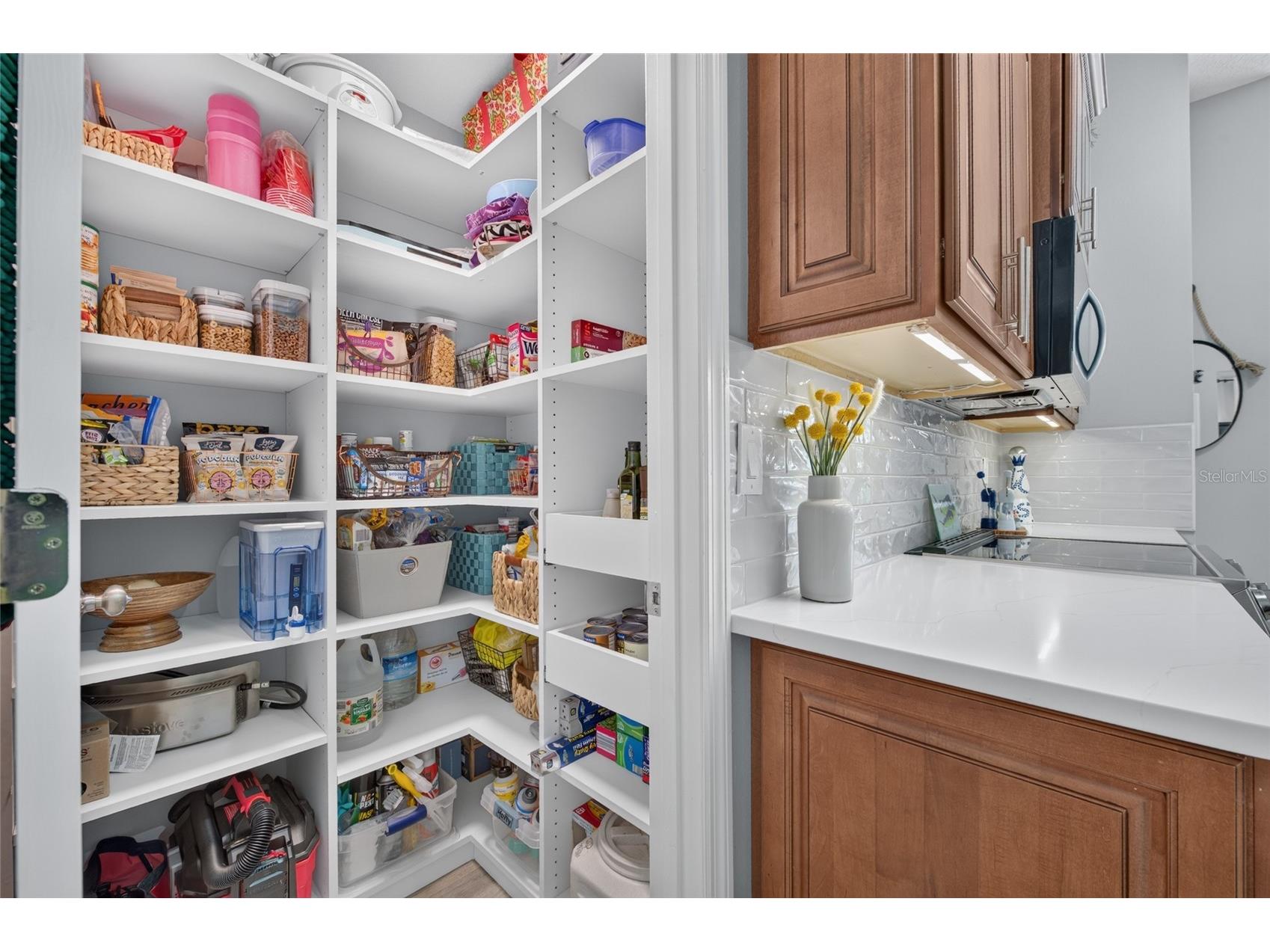 1747 Tributory Lane Port Orange FL 32128 NS1088723 image30