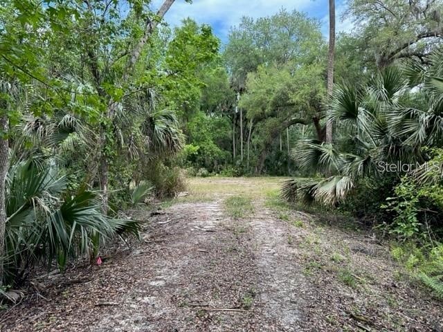1747 Turtle Hill Road Deltona FL 32725 O6393161 image4