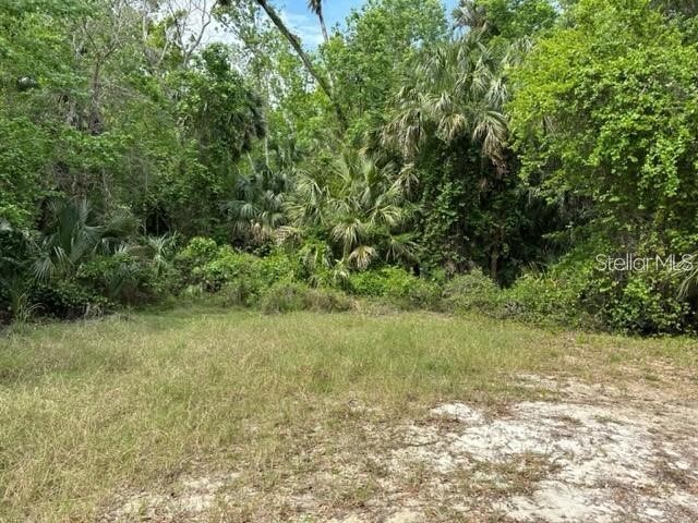 1747 Turtle Hill Road Deltona FL 32725 O6393161 image5
