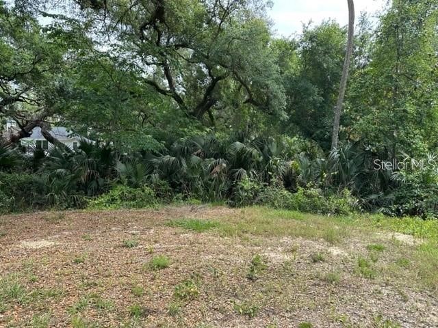 1747 Turtle Hill Road Deltona FL 32725 O6393161 image6