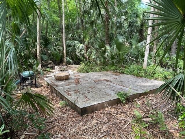 1747 Turtle Hill Road Deltona FL 32725 O6393161 image7