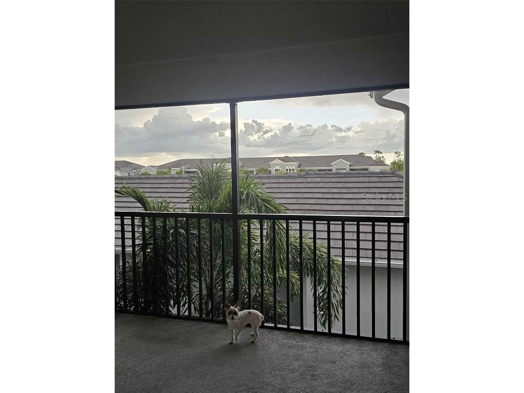 17470 Opal Sand Drive #201 Venice FL 34293 TB8430384 image53