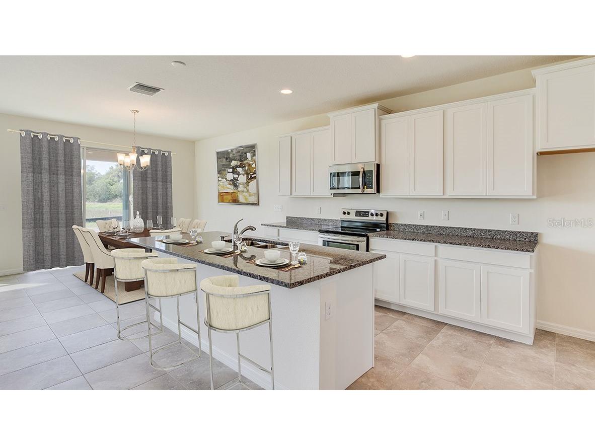17473 Maple Grove Road Land O Lakes FL 34638 TB8499394 image4