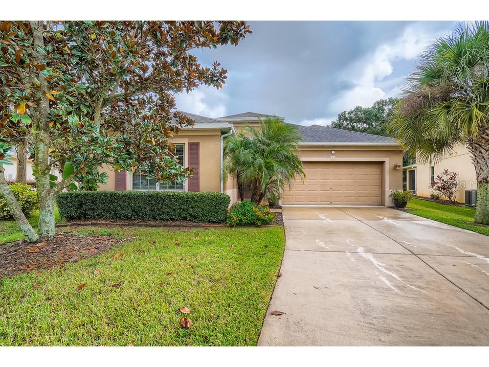 17475 New Cross Circle Lithia FL 33547 W7838908 image1