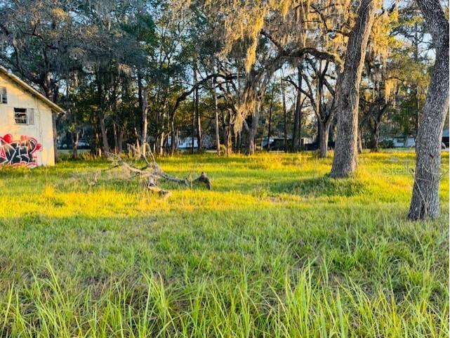 17476 Nicholas Avenue Brooksville FL 34604 G5105810 image10