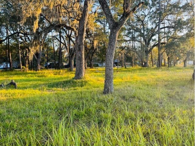 17476 Nicholas Avenue Brooksville FL 34604 G5105810 image11